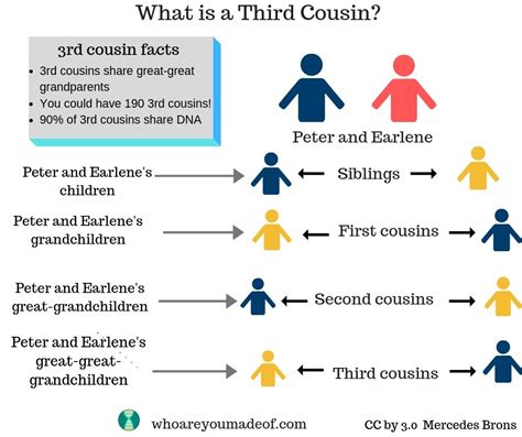 The Benefits of Having Three Cousins